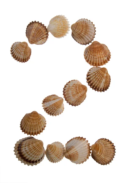 Cifra di shell isolata, figura — Foto Stock