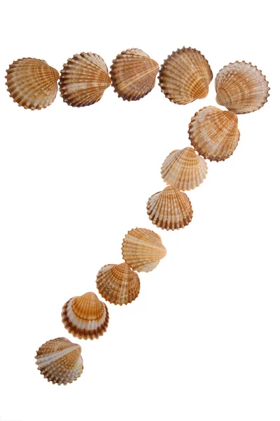 Isolerade shell siffror, figur — Stockfoto