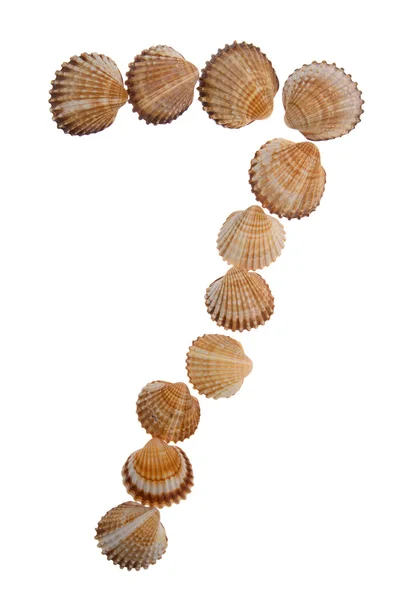 Isolated shell digit, figure — Stock Photo, Image