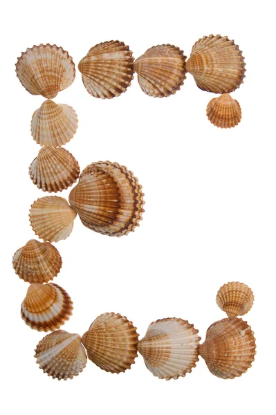 Elszigetelt shell betű — Stock Fotó