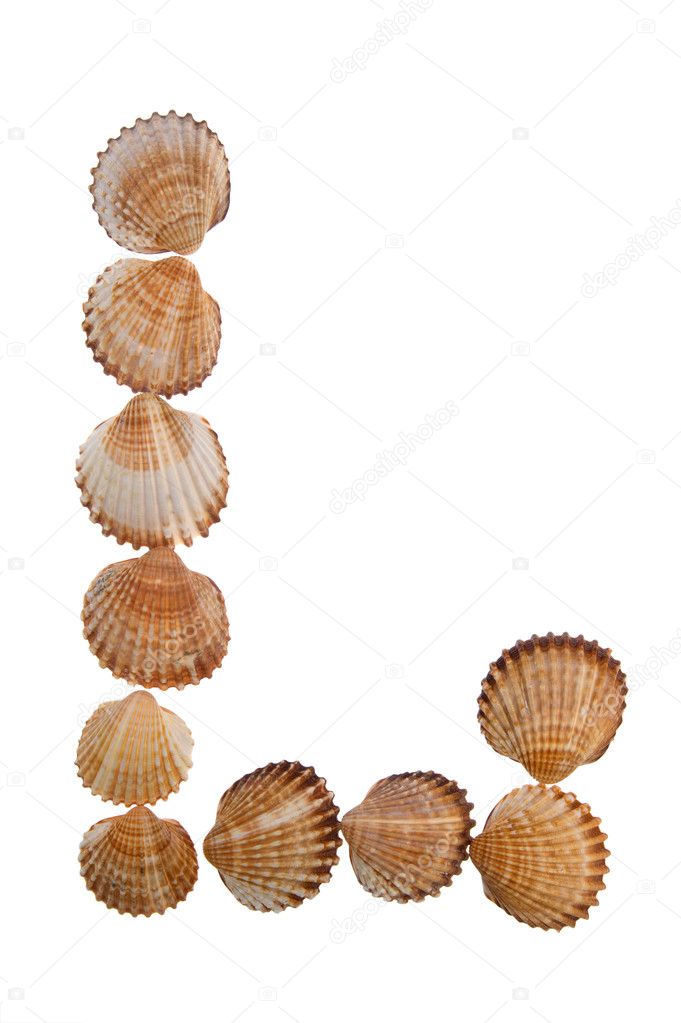 Isolated shell letter L