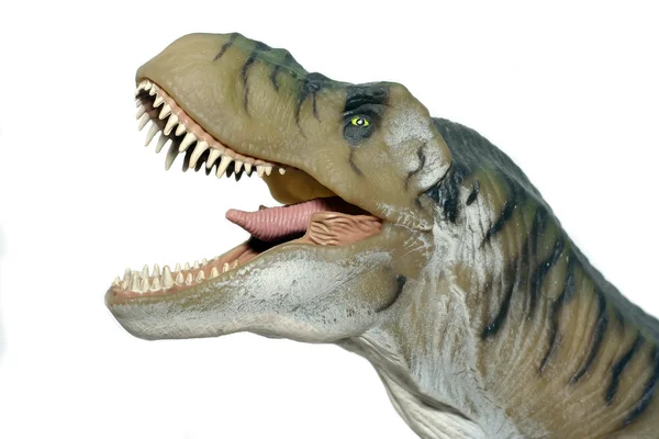 stock image T rex