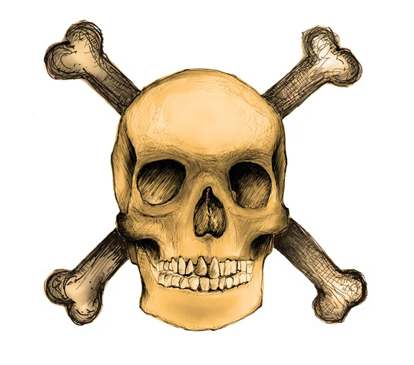 Lebka a zkřížené kosti — Stock fotografie
