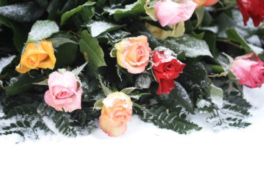 Mixed rose bouquet in the snow clipart