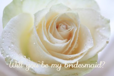 White rose card bridesmaid clipart