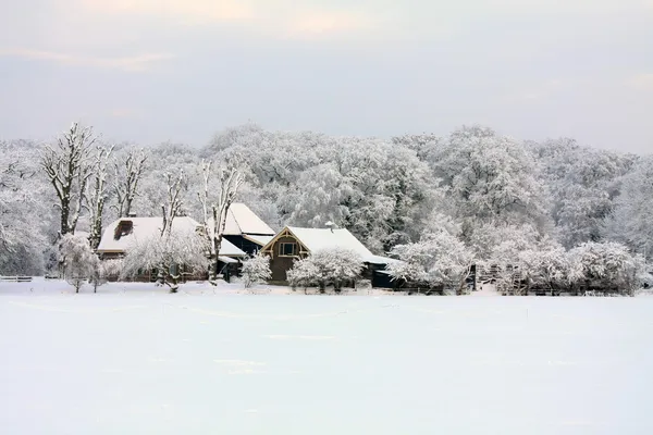 Granja de invierno en la nieve — Foto de Stock