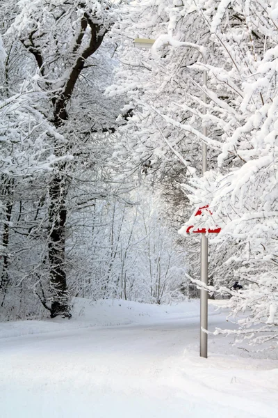 Strada di campagna nell'inverno — Foto Stock