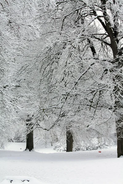 Um conto de fadas branco floresta de inverno — Fotografia de Stock