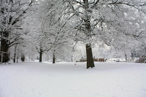 Caminho coberto de neve — Fotografia de Stock