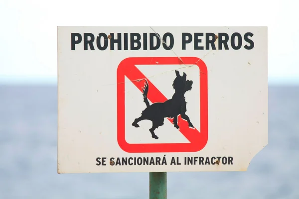 Espanhol sem cães permitido sinal — Fotografia de Stock