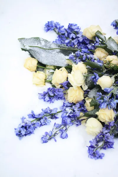 Fehér és kék virág elrendezése — Stock Fotó