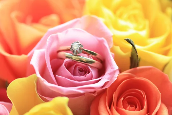 Brautkleid auf rosa Rose — Stockfoto