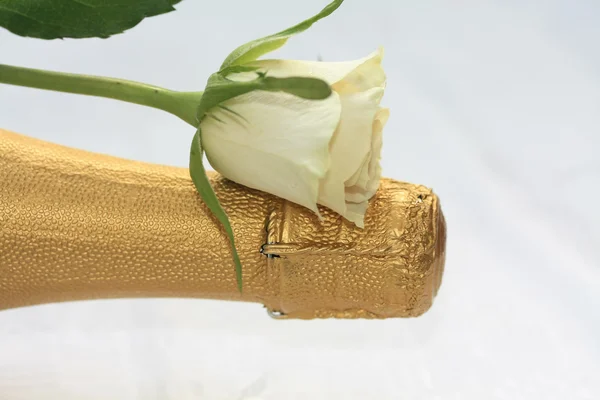 Λευκό τριαντάφυλλο σε ένα μπουκάλι σαμπάνιας — Φωτογραφία Αρχείου