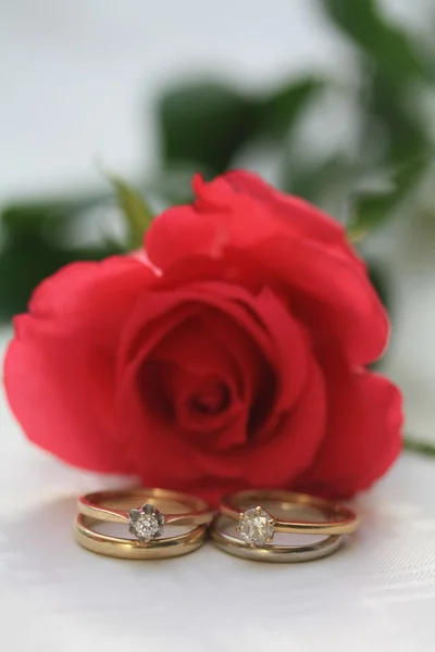 Conjunto de boda doble y una rosa — Foto de Stock
