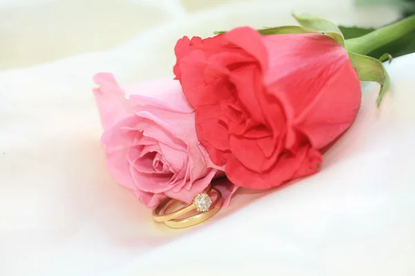 Wedding set and roses — Stock Photo, Image