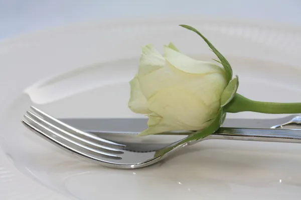 White rose on cuttlery — Stock Photo, Image