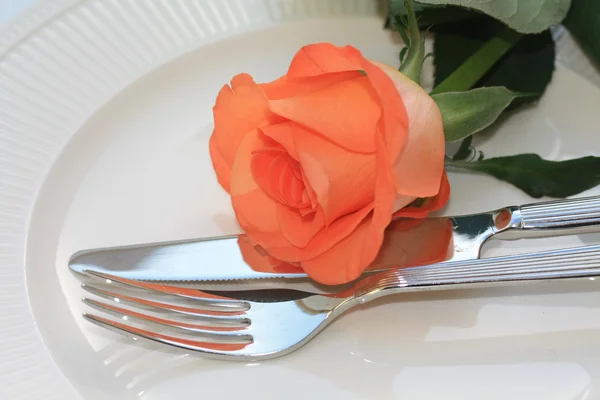 Orange rose on cutlery — Stock Photo, Image