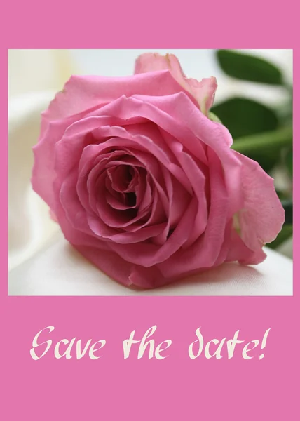 Ροζ τριαντάφυλλο κάρτα - save the ημερομηνία — Φωτογραφία Αρχείου
