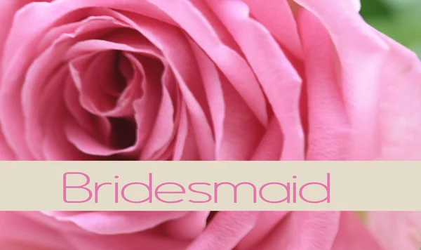 Розовая розовая карта - подружка невесты — стоковое фото