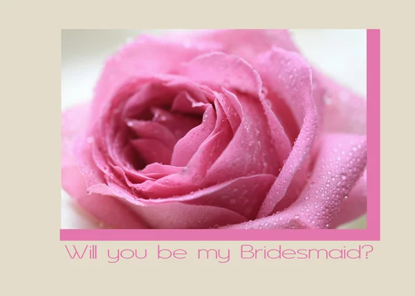 Pink rose card - bridesmaid — Stock Photo, Image