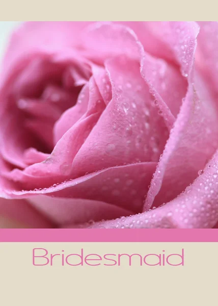 Pink rose card - bridesmaid — Stock Photo, Image
