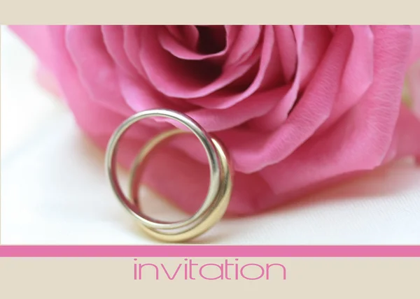 Růžová růže karta - Pozvánka — Stock fotografie