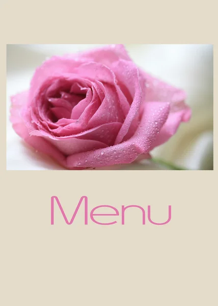 Růžová růže jídelní lístek — Stock fotografie