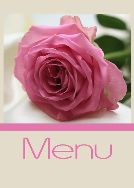 Pink rose menu card — Stock Photo, Image