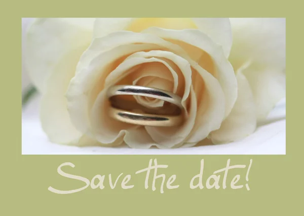Λευκό τριαντάφυλλο κάρτα - save the ημερομηνία — Φωτογραφία Αρχείου