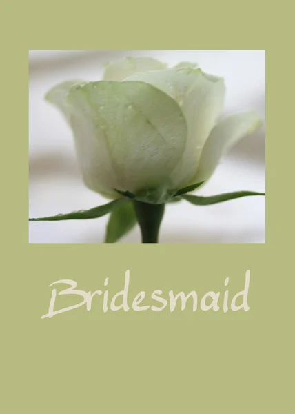 Белая розовая карта - подружка невесты — стоковое фото