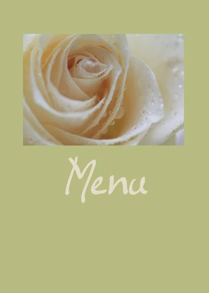 Stock image White rose card- menu