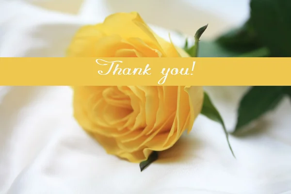 Žlutá růže karta - Děkuji — Stock fotografie
