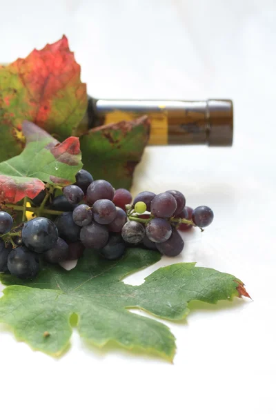 ワインのボトルとブドウの葉 — ストック写真