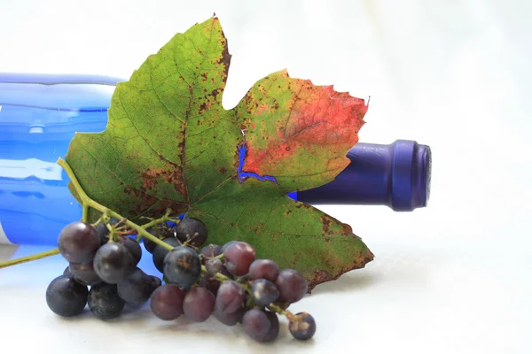 Бутылка вина и виноградные листья — стоковое фото