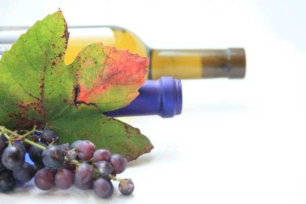 Bottels de vinho e folhas de uva — Fotografia de Stock