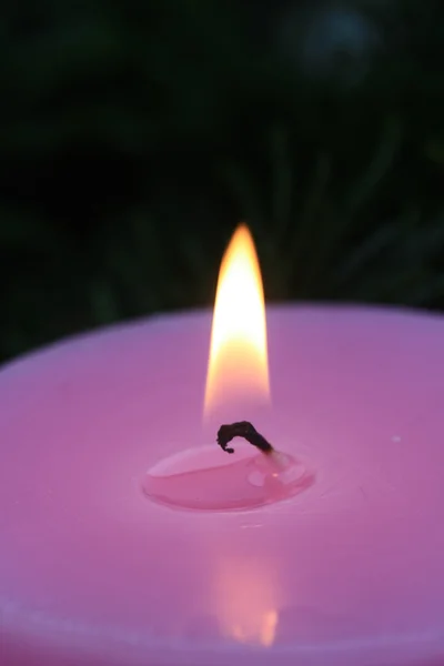 Růžová svíčka — Stock fotografie