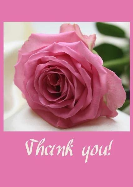 Roze roos kaart - dank u Stockafbeelding