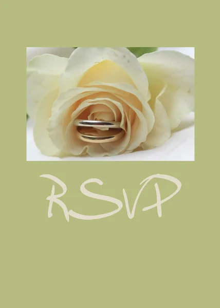 Witte roos kaart - rsvp Stockfoto