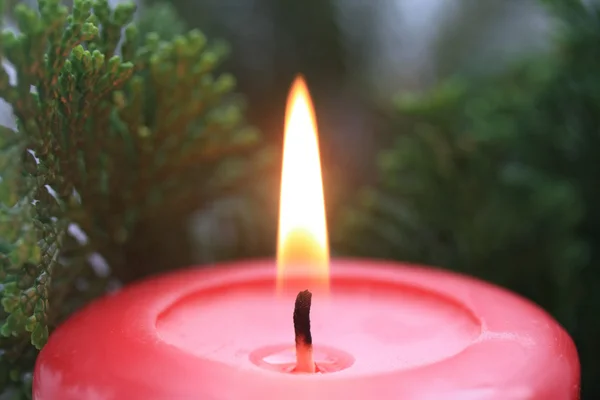 Červená svíčka Stock Snímky