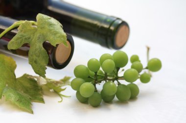 Grapes and wine bottles clipart