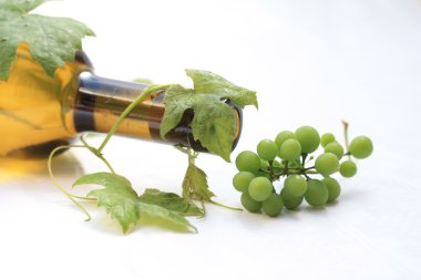 Bottle of white wine and grapes clipart