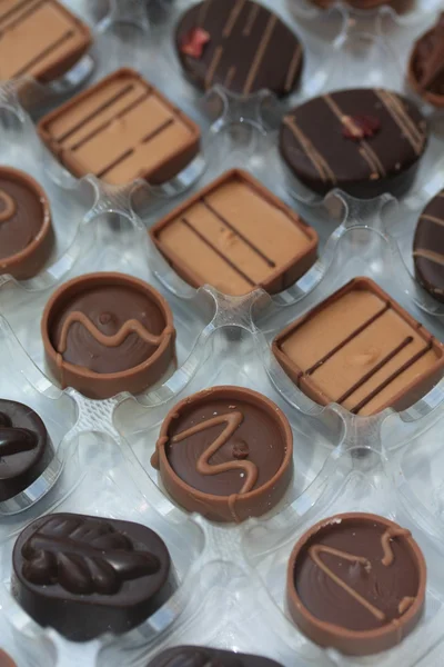 Бельгийский шоколад — стоковое фото
