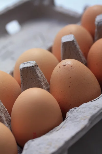 Eggs in a carton box — Stock Photo, Image