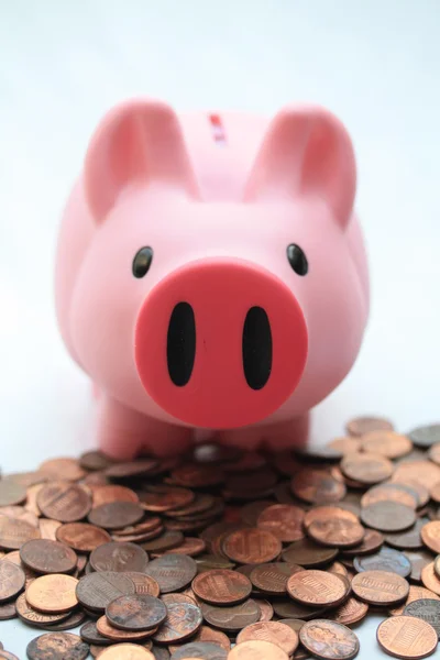 Sparschwein auf einem Haufen Münzen — Stockfoto