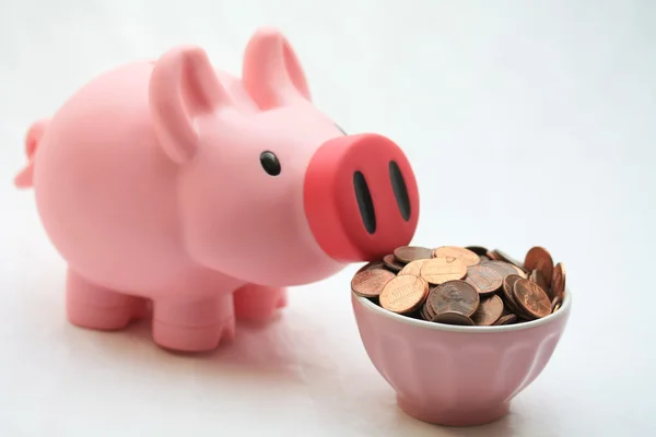 Alimentando o banco porquinho — Fotografia de Stock