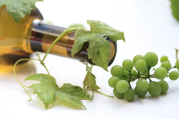 องุ่นและขวดไวน์ — ภาพถ่ายสต็อก
