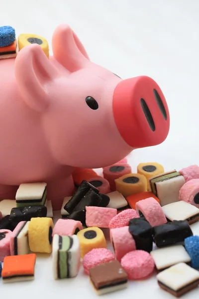 Fat pig on candy — Stock Photo, Image