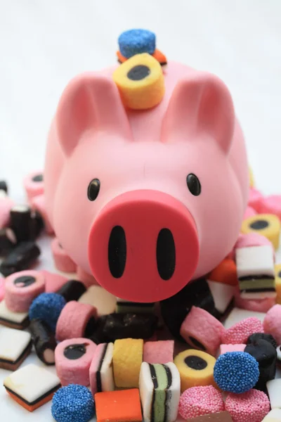 Şişko domuz üzerinde şeker — Stok fotoğraf