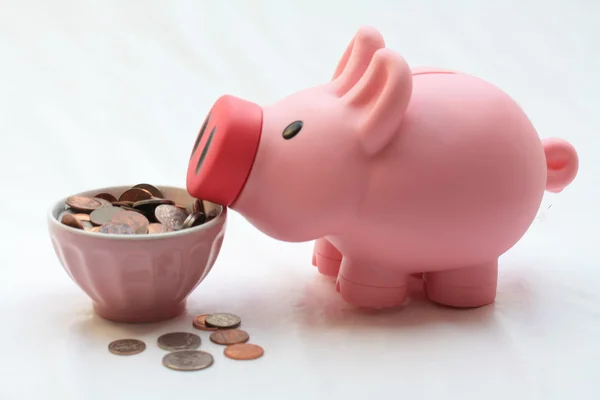 Feeding a piggy bank — Stock Photo, Image