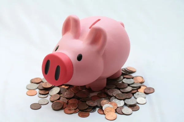 Piggy bank on a pile of money — Stock Photo, Image